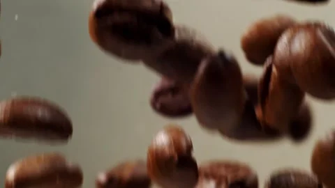 Slow Motion of brown roasted Coffee Beans on Gradient grey background. Stock Footage 151118673