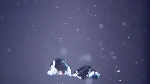 Slow motion bubble background (4 of 6) Stock Footage 33688870