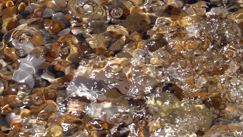 Slow motion of bubbles from corner on shallow water and sea shells close up. Video stock 98098199