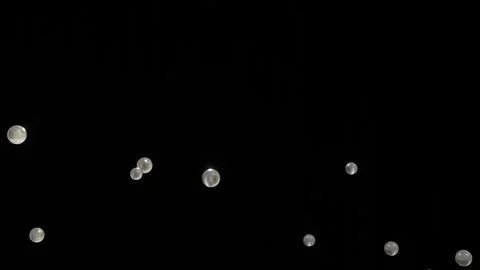 Slow motion bubbles floating on a black background Stock Footage 315236087