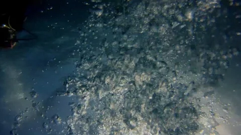 Slow Motion Bubbles Stock-Footage 88816616