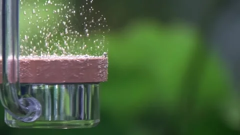 Slow motion of bubbles under water, freshwater aquarium. Oxygen diffuser un.. Stock Footage 261803523