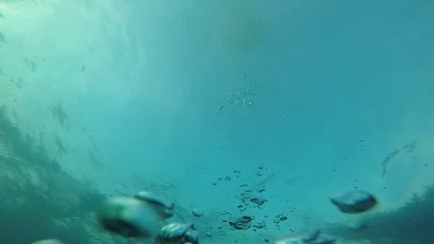 Slow motion Bubbles underwater Stock Footage 124878919