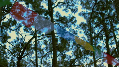 Slow-motion Buddhist Prayer Flags waving in the Wind, Kathmandu Nepal Asia Stock Footage 168578947