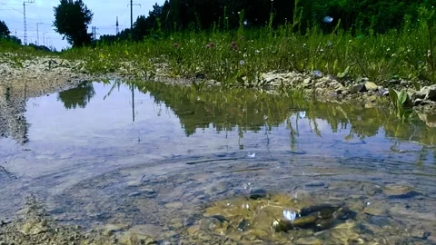 Slow motion bullets falling into a puddle of water Stock Footage 337408809