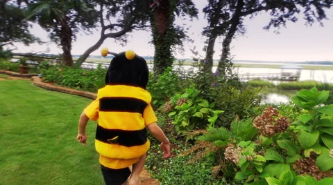 Slow motion Bumble Bee boy Stock Footage 42148430