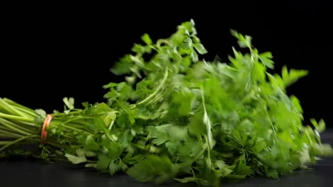 Slow motion of a bunch of flat leaf parsley falling Stock Footage 169010327