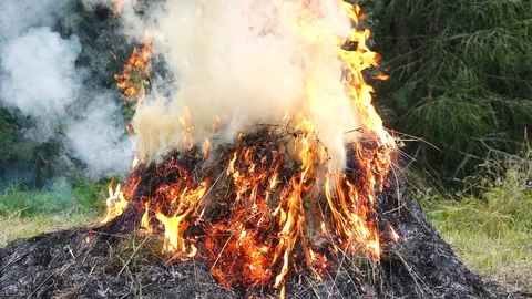 Slow motion of burning dry grass in the garden heavily smoking Stock Footage 127031576