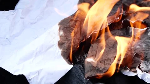 Slow motion burning fire flame, closeup night bonfire, fireplace, campfire, bbq Video stock 241771860