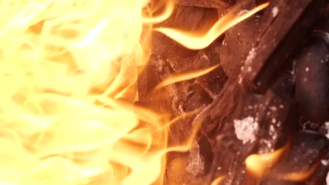 Slow motion burning fire flame, closeup night bonfire, fireplace, campfire, bbq Video stock 261126123