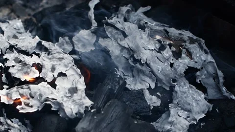 Slow motion burning fire flame, closeup night bonfire, fireplace, campfire, bbq Video stock 262027177