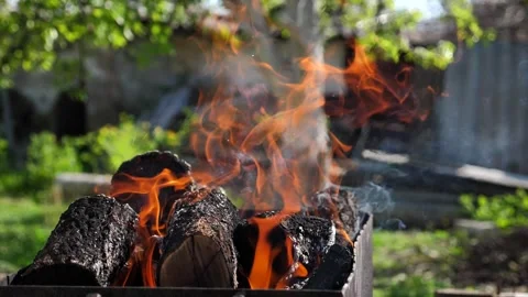 Slow motion of a burning fireplace with burnt logs. Barbecue fire. Vídeo Stock 335643548