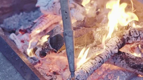 Slow motion burns in the evening, tree branches burn in the fire, close up Stock-Footage 129245257