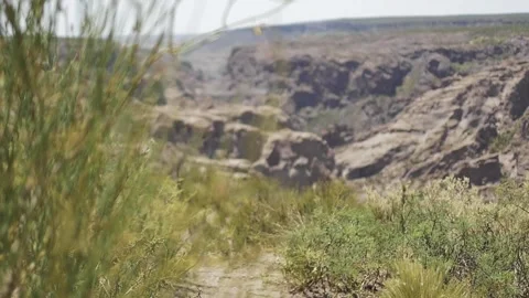Slow motion of bushes on the wind and walking track by a canyon on the desert Stock Footage 255896030