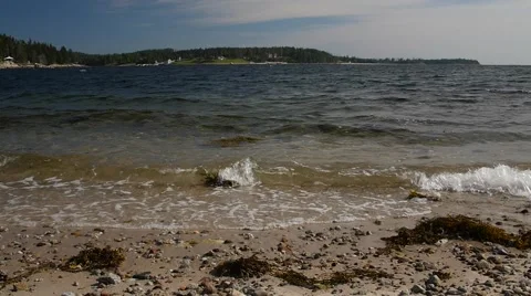 Slow motion calm waves and moss near beautiful rocky coastline Stock Footage 52954895