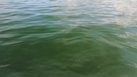 Slow motion calm waves of lake water surface Stock Footage 320029485