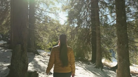 Slow motion camera follows active young brunette woman hiker Stock Footage 292539295