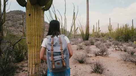 Slow motion camera follows young excited tourist woman with backpack hiking in Vídeo Stock 102533377