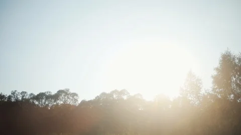 Slow motion camera moves past the tree through which the sun shines, forest Stock Footage 94238148