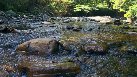 Slow motion camera panning over mountain creek. Light in the background Stock Footage 160888556