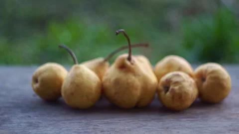 Slow motion camera panning of small yellow wild pears in a row on a rustic woode Stock Footage 341888340