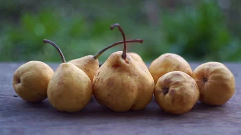 Slow motion camera panning of small yellow wild pears in a row on a rustic woode Stock Footage 341888341