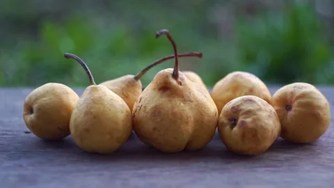 Slow motion camera panning of small yellow wild pears in a row on a rustic woode Stock Footage 341888349