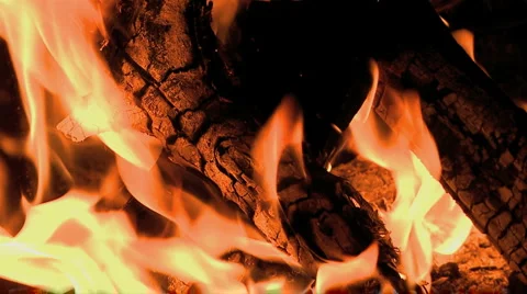 Slow Motion of Camp Fire - Clip 2 Stock Footage 1671614