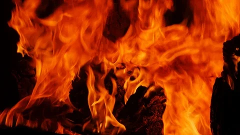 Slow motion camp fire isolated on black background Stock Footage 99040632