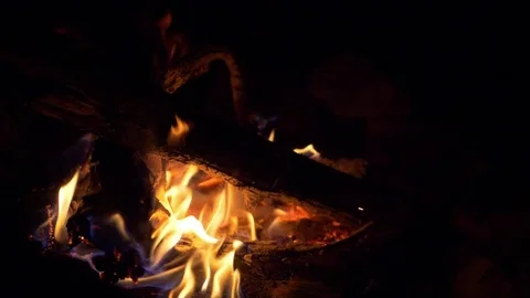 Slow motion of camp fire in the night Vidéo 79725929