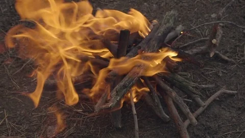 Slow motion campfire burning at evening in the forest. Close up view Stock-Footage 80784232