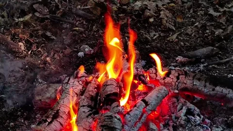 Slow Motion Campfire Embers and Sparks Stock-Footage 342280156
