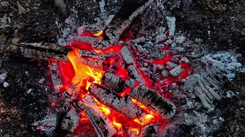 Slow Motion Campfire Embers Glowing in Dark Video stock 342256040