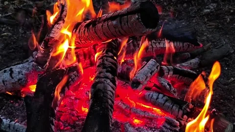Slow Motion Campfire Flames and Glowing Wood Video stock 342256023