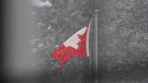 Slow motion Canadian Flag flapping in wind and snow. Shot on the Panasonic 스톡 동영상 123966260