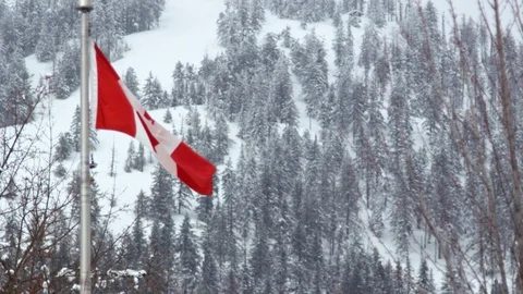 Slow motion of Canadian state flag flying in wind in mountain location Stock Footage 129116513