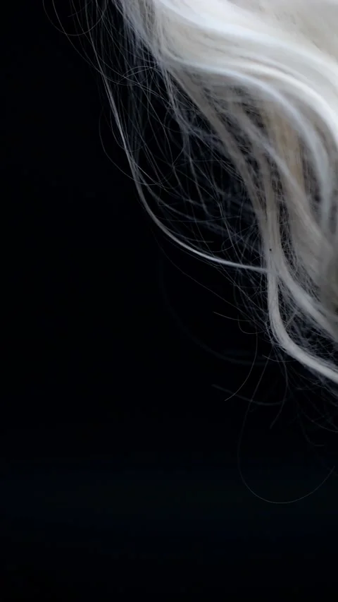 Slow-motion capture of blonde, curly hair flowing over a black background. .. Stock Footage 280255129