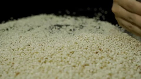 Slow Motion Capture of Grains Pouring into Storage Bins Stock Footage 304313792