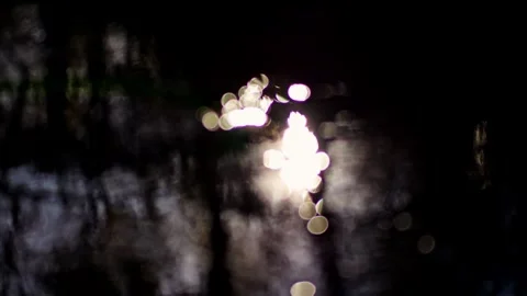 Slow-motion capture of a stream: sun sparkles on water, forest mirrored, un.. Stock Footage 256645096