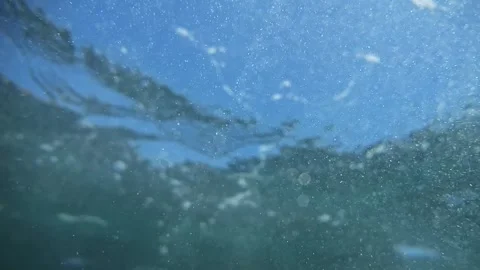Slow-motion capture of sunlit organic particles underwater, with sea creatu.. Video stock 251717811