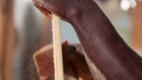 Slow motion of a Carpenter using sandpaper to smoothen surface of a wood for fur Stock-Footage 223791647