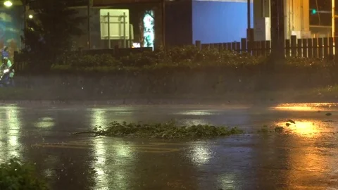 Slow motion cars go over tree branch on the road during Typhoon Nesat Taipei-Dan Stock Footage