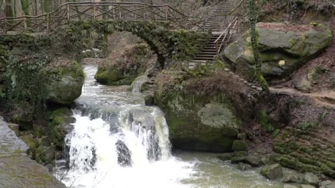 Slow motion of cascade waterfalls under bridge in a forest in autumn colors i Stock Footage 137912480