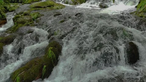 Slow Motion Of Cascading Streams Over Mossy Rocks Stock Footage 255390133