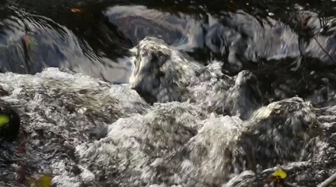 Slow motion cascading water on River Fechlin, Scotland Stock Footage 52939238