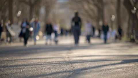Slow Motion Central Park Mall Defocus Background Stock Footage 234142858