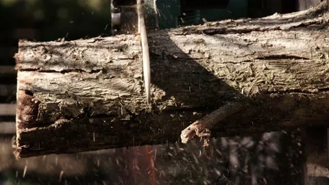 Slow motion of chainsaw blade and chain while cutting a log for firewood. Stock Footage 153434907