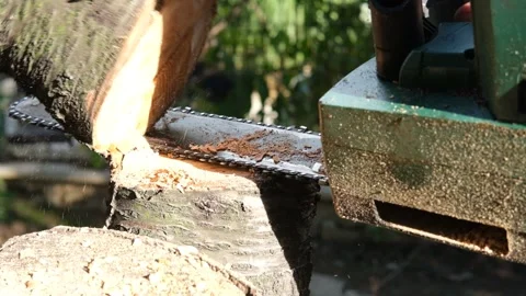 Slow motion of chainsaw cutting a log in slow motion with saw. Stock Footage 163842872