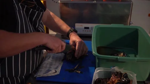 Slow Motion - Chef Chopping Lobster Stock Footage 283666928