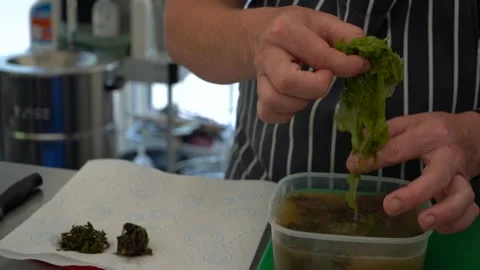 Slow-Motion Chef Cooking Prepping Seaweed Stock Footage 283666959